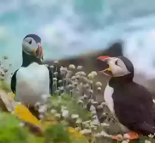 Reconciliation